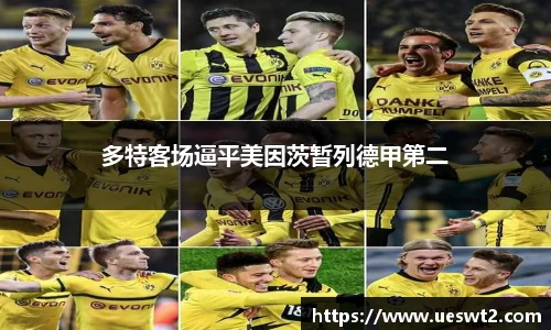 江南体育