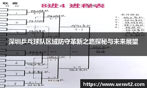 深圳乒乓球队区域防守革新之路探秘与未来展望