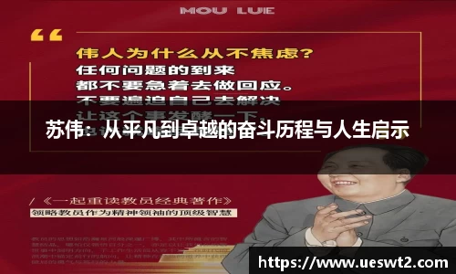 苏伟：从平凡到卓越的奋斗历程与人生启示